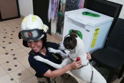 Personal. La unidad estará conformada por personal de bomberos voluntarios y rentados de la División de Rescate.