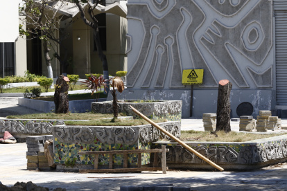 Solo tronco quedaron de tres árboles talados en los alrededores de la Facultad de Arquitectura.