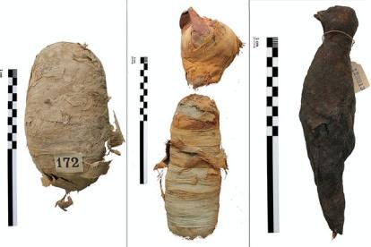 Las tres momias de animales.