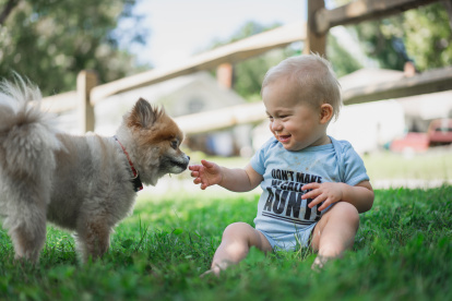 Los bebés pueden reconocer objetos y categorizarlos basándose en la forma en que sus padres los nombran.