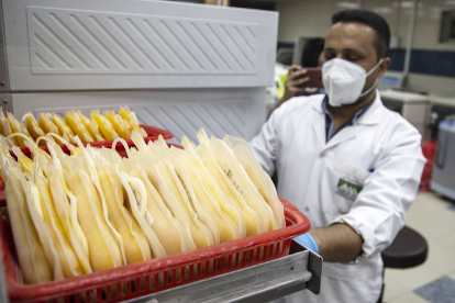 EL CAIRO. Un médico saca las bolsas de plasma donadas por pacientes que se recuperaron de la enfermedad COVID-19.