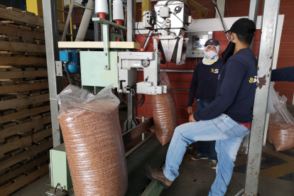 Toda la industria, incluida la de semillas, se movió más este año.