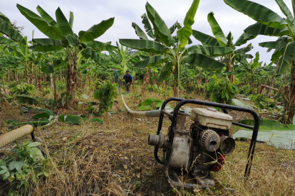 Trabajo. Las bombas para regar consumen gasolina según su capacidad y su antigüedad.
