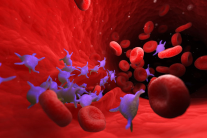 Cuando una persona contrae el covid-19, su cuerpo produce anticuerpos que se concentran en el plasma, la parte líquida de la sangre.