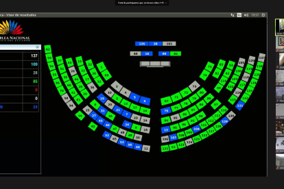 La Asamblea Nacional sesiona virtualmente desde el inicio de la pandemia.