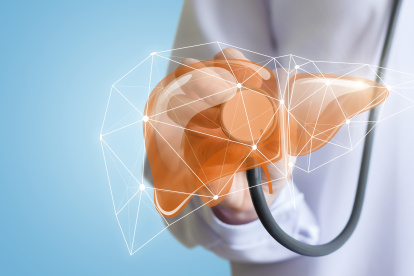 Un hígado sano es de color oscuro, y en adultos pesa entre 3 y 4 libras.