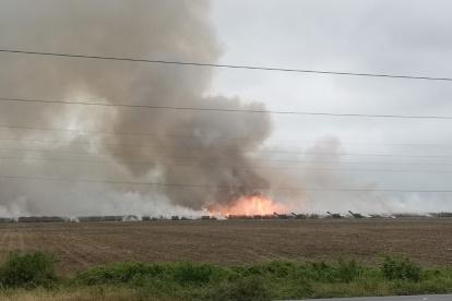 Los ingenios de la costa están más tecnificados que los de la sierra