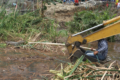 MORADORES DE CHONGON ESTAN ASUSTADOS CON LAGARTOS CULEBRAS Y TORTUGAS AUTORIDADES FUERON AL RESCATE COMO LA POLICIA,LOS DEL MEDIO AMBIENTE Y PERSONAL DE MUNICIPIO 12 DE SEPTIEMBRE DEL 2020  GUAYAQUIL-ECUADOR