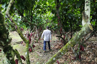 Empresas multinacionales han comprado propiedades en Ecuador.