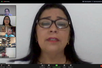 La legisladora Arteaga en el uso de la palabra durante el pleno que le levantó la inmunidad.