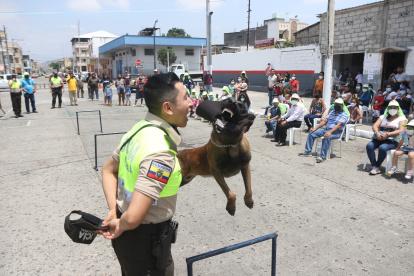 Los perros adiestrados de la Policía Nacional brindaron un espectáculo en el barrio Garay.