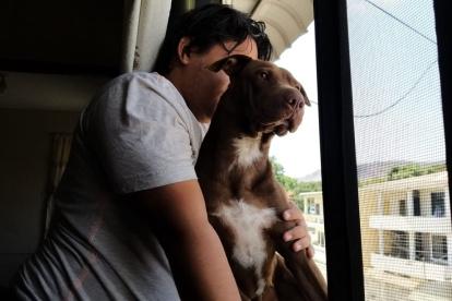 Ordenanza regula la tenencia de mascotas y previene el maltrato.