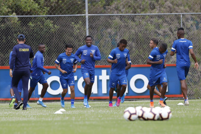 Aún no se conoce la lista de seleccionados ecuatoriana para el inicio de las eliminatorias.