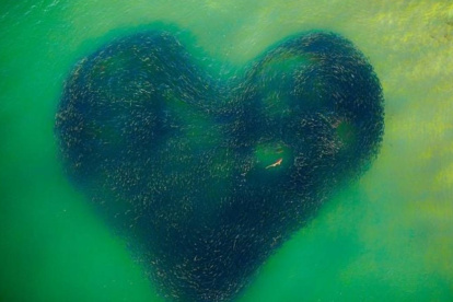 Foto que ganó el primer lugar general en los Drone Photo Awards.