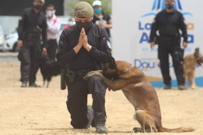 En la jornada, llevada a cabo esta semana, los agentes mostraron lo hábiles que son los canes que conviven con ellos.