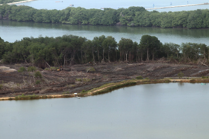 Denuncia

La Cámara de Acuacultura alertó del hecho a Ambiente. En un comunicado, recordó a los afiliados su obligación de cuidar de la naturaleza.