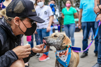 Hecho. 15 perros y 5 gatos fueron adoptados en la feria del parque de la Kennedy.