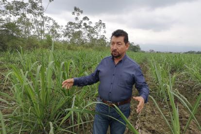 José Vásquez, presidente de los cañicultores de Milagro.