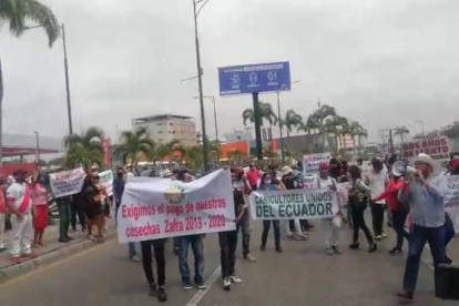 El lunes, cañicultores protestaron en Guayaquil.