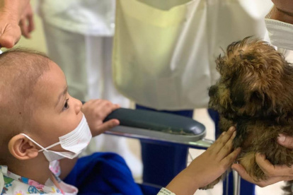 Bombón llegó a Solca para visitar a los niños, quienes se emocionaron al verlo.