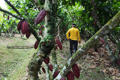 La situación del sector mejoró este año.