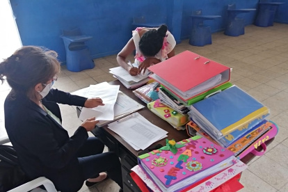 Los profesores receptan, en las instituciones educativas, los portafolio escolares de sus alumnos..