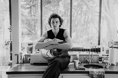 Shanwn Mendes tiene 22 años. Su primer disco, Handwritten, fue publicado en el 2015.