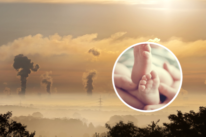 La polución también puede afectar a las embarazadas y sus fetos.