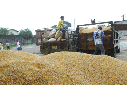 Todavía no sale toda la cosecha de verano.
