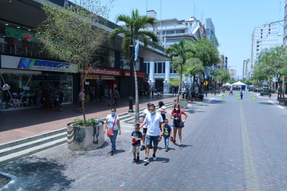 Estas plantas buscan darle sombra a los peatones durante los fines de semanas.