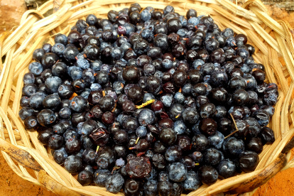 El mortiño es una fruta rica en vitaminas y minerales