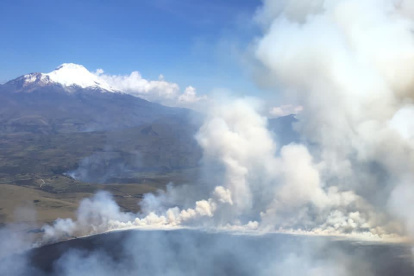 El incendio se registra en la zona protegida Cayambe-Coca