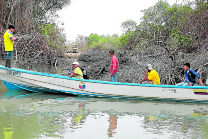 Escenario. Custodios observan una retroexcavadora en un sector del golfo de Guayaquil. La tala de manglar sigue, pese a que ya se denunció.