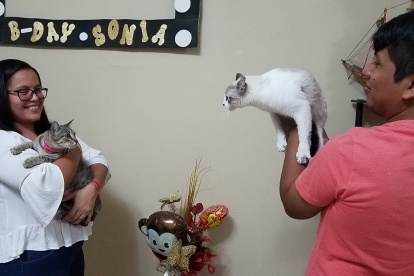 Gatúbela (blanca, a la derecha), reacciona de manera agresiva ante la presencia en su casa de la visitante Pancita.