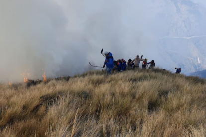 Un contingente de 1.000 personas, entre personal del Ministerio de Ambiente, el cuerpo de bomberos y moradores intentan apagar el incendio.