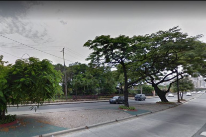 Este es el sector de donde será retirado el árbol.