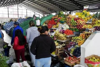 Los precios no se recuperarían en el corto plazo
