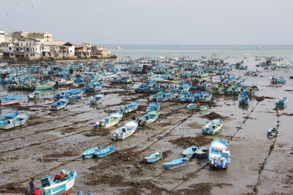 Hecho. El fenómeno se registra desde hace más de tres días e inquieta a los trabajadores, quienes afirman que no es la primera vez que ocurre.