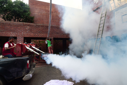 El dengue se contrae a través de la picadura del mosquito Aedes aegypti, cuyos criaderos suelen aparecer en recipientes con agua.