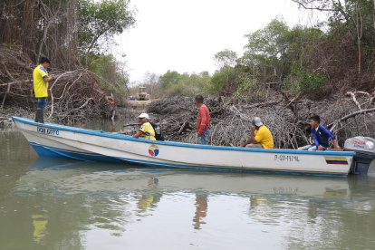La tala de mangles afecta el espacio natural de Guayaquil.