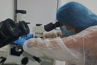 Investigación. El proyecto se basa en el trasplante de mitocondrias de células madre para regenerar tejidos. Y, a largo plazo, ralentizar su envejecimiento.