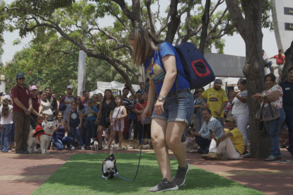 Una persona pasea con su mascota en el Malecón 2000.