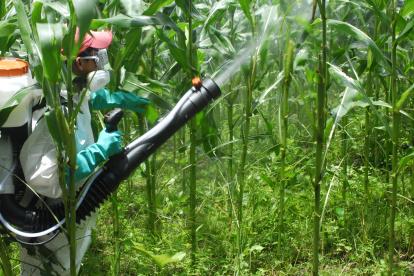 En el mercado crecen las quejas por un reciente cobro del IVA en insumos agrícolas.