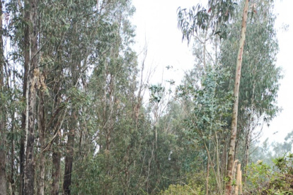 La empresa de Agua potable también controló emergencias.