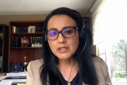 Silvana Vallejo acudió a la Asamblea Nacional.