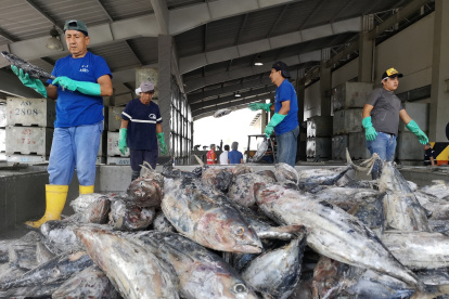 A partir de este lunes y hasta el 4 de diciembre, se desarrollarán reuniones para establecer medidas.