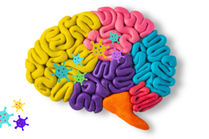 Las autopsias encontraron ARN del SARS-CoV-2 y de varias proteínas en el cerebro y la nasofaringe, y partículas de virus intactas en la nasofaringe.