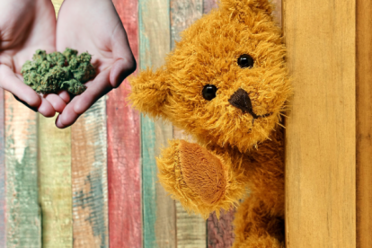 La organización se había dedicado a la industrialización de peluches (muñecos) a través de los cuales camuflaba las drogas ilícitas.