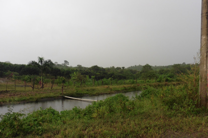 Previo a la construcción del Daular es necesario realizar una seri de estudios que confirmen que no se verá afectado el entorno.