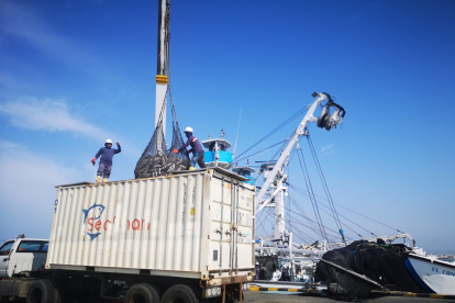 La mayor parte de la flota está en veda hasta enero de 2021